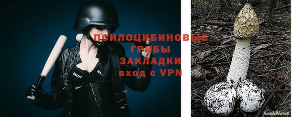 стафф Верхний Тагил