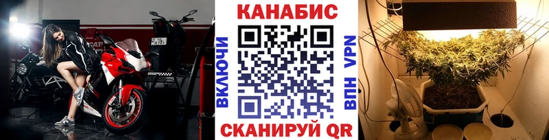 сколько стоит Болхов Конопля AK-47